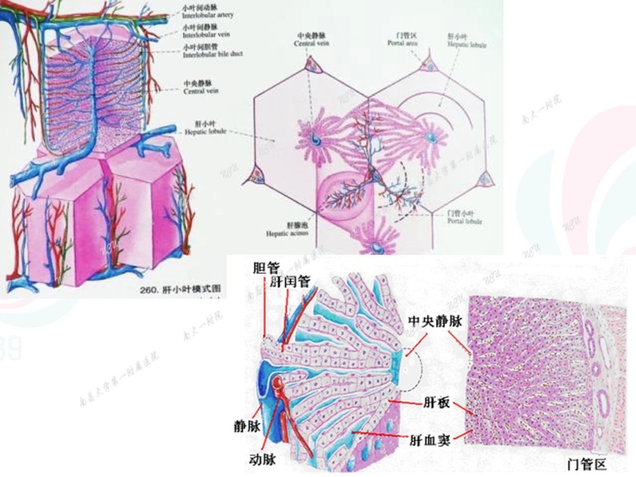 28749d2f5e82a316862e42e9b16150de.jpg