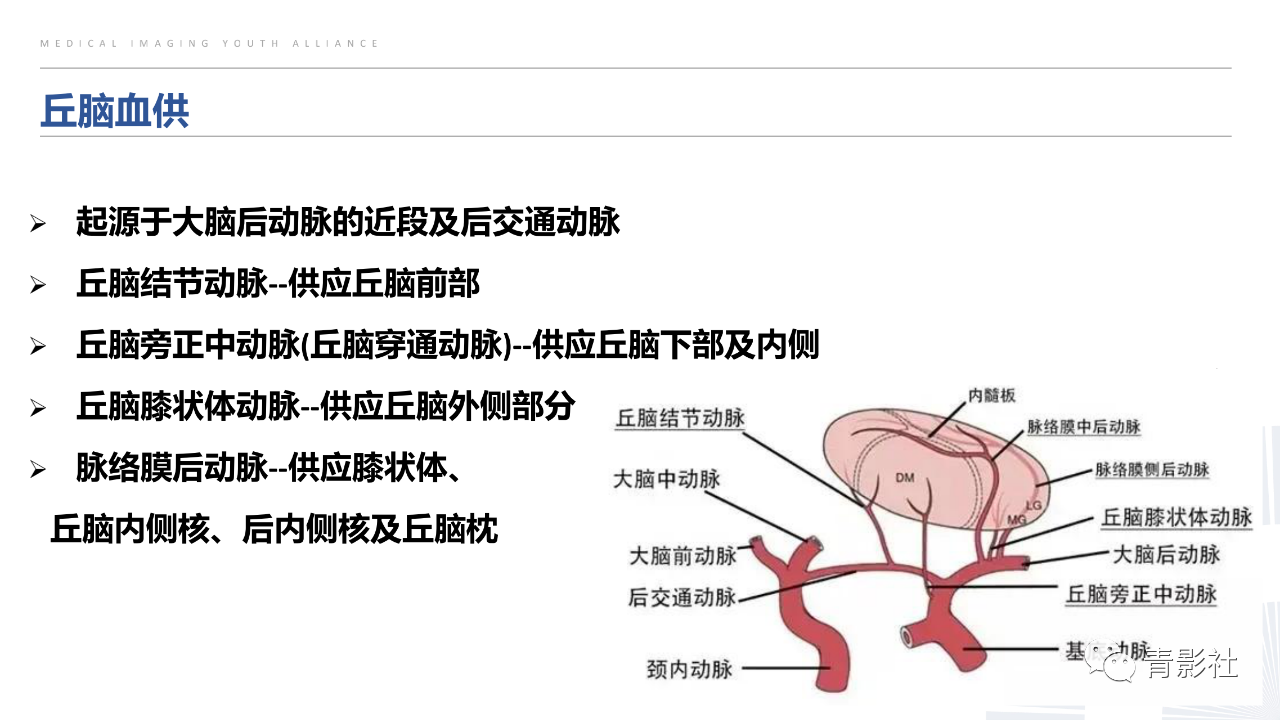 e9cff841fd94b8817417aedb162fec2b.png