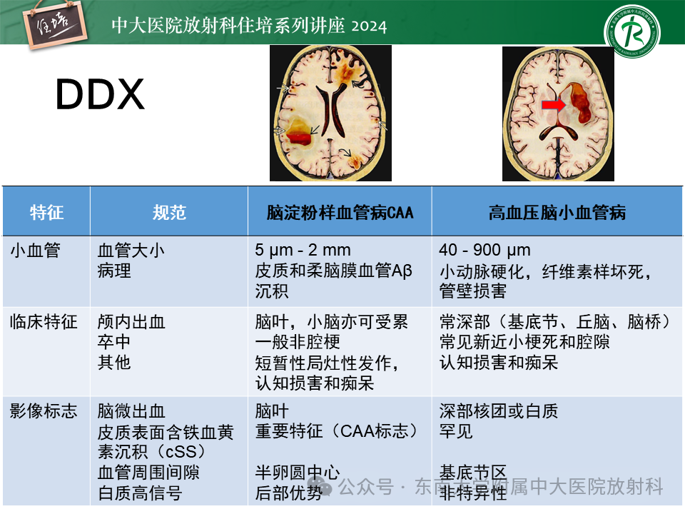fe4f6095735353988a5e447fff35a6d6.png