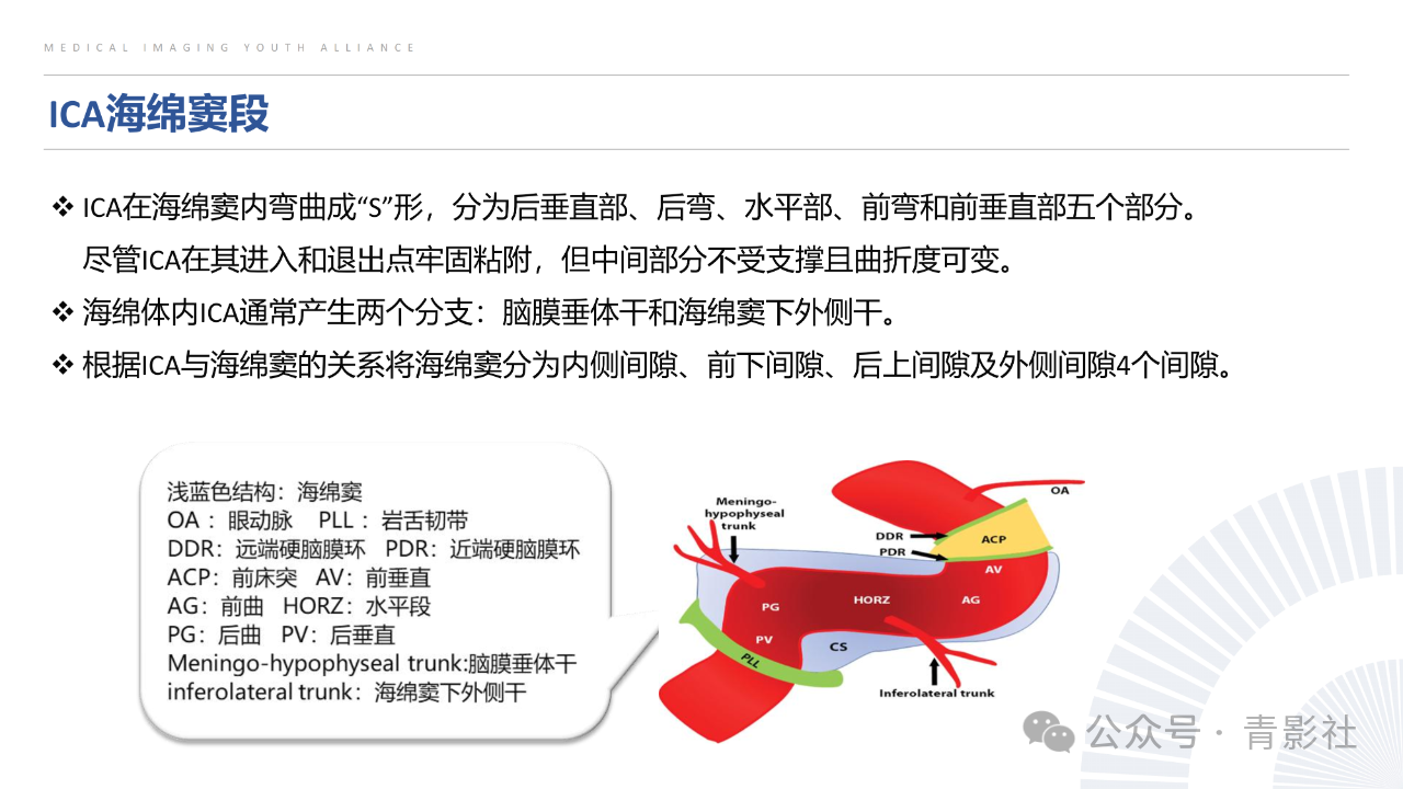 b1f741453026aecd9d14b4fc0e4105d1.png