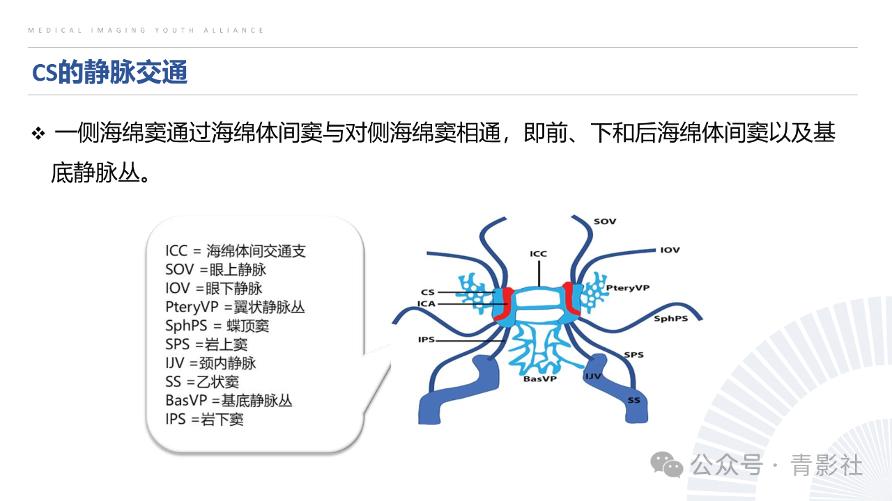 82a2f0c2a9f1c0a9e2987f6f2c53db72.png