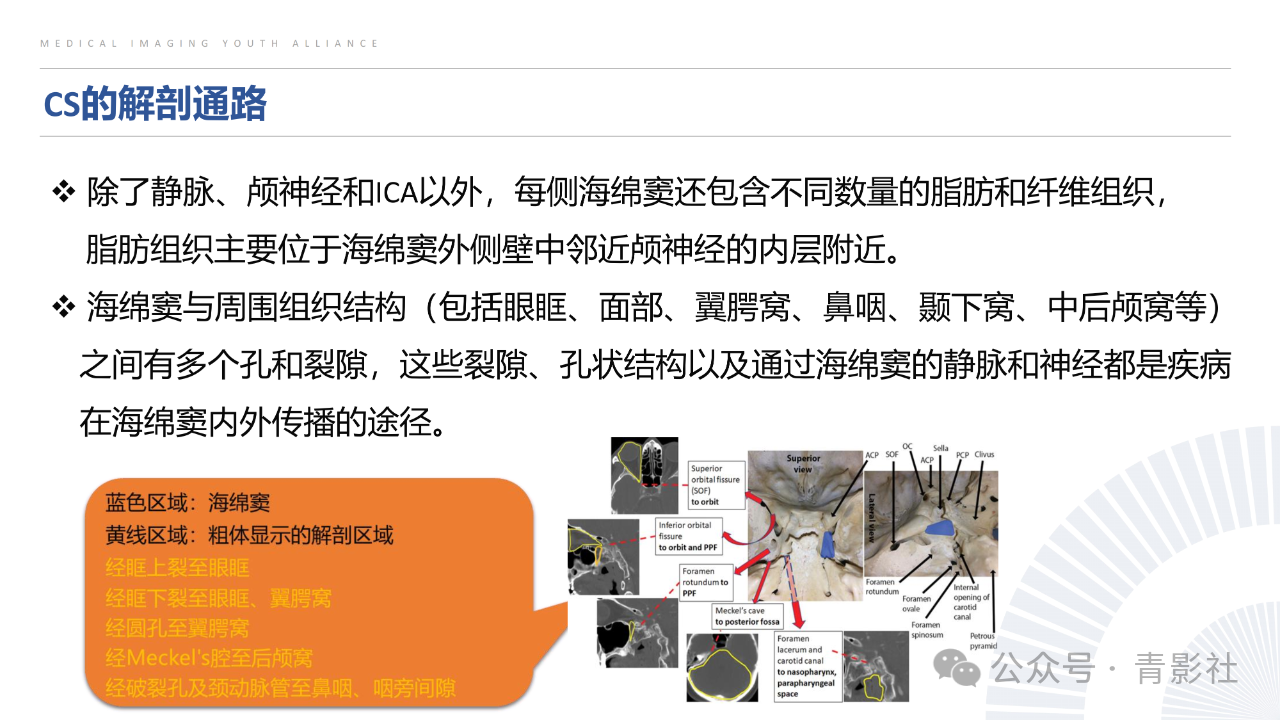 5096544c0a450f9220b82885d2042608.png
