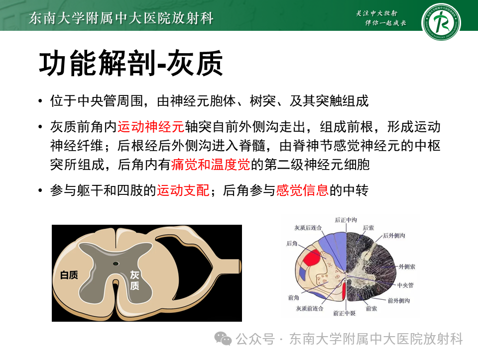 a6c71d8960debddfc32fcb19cb1f5742.png