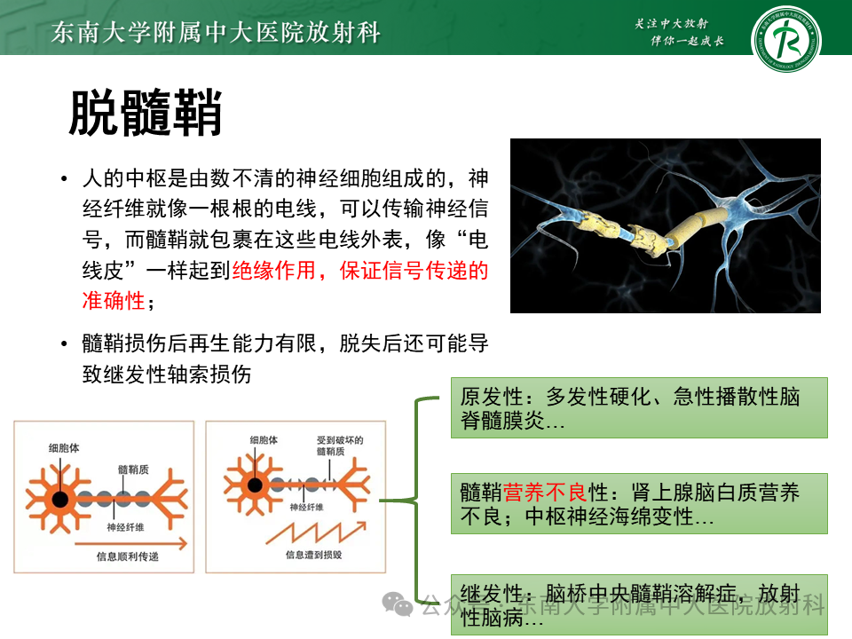 7319309a1235f07f56fa4094ea6bda29.png