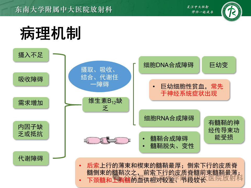 2303f906a9efeacfb8682831d289a8ed.png
