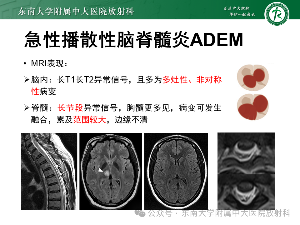 ef907cb0b67f7abff7d53fc20bf3314d.png