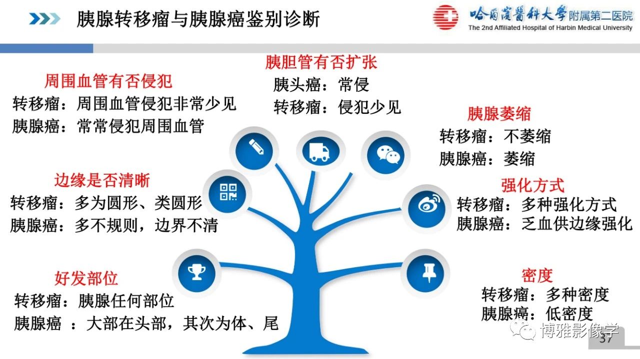fe1eedc11e4d5944c4225a3600865f44.jpg
