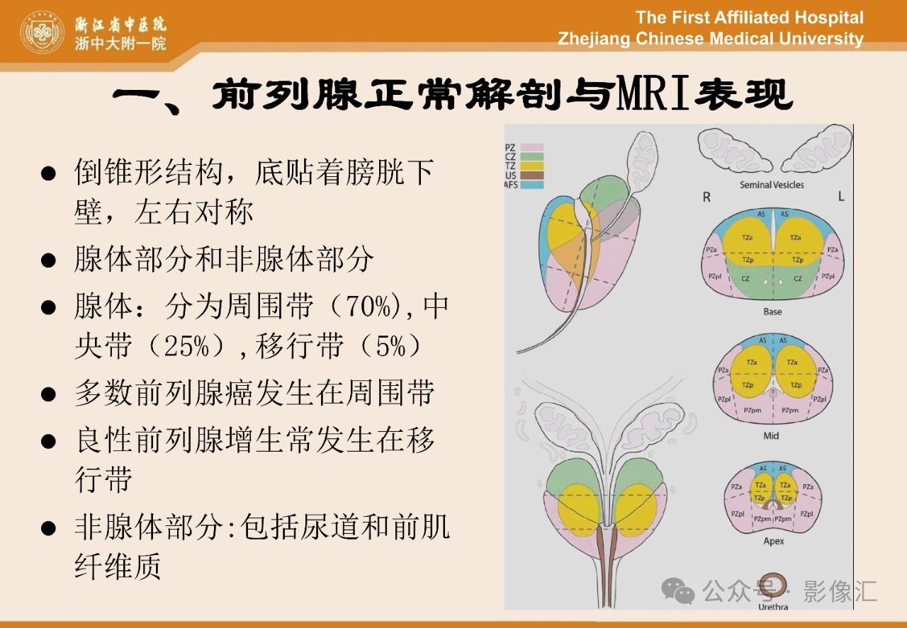 7dbddb8048b800b474e8e273fe882156.jpg