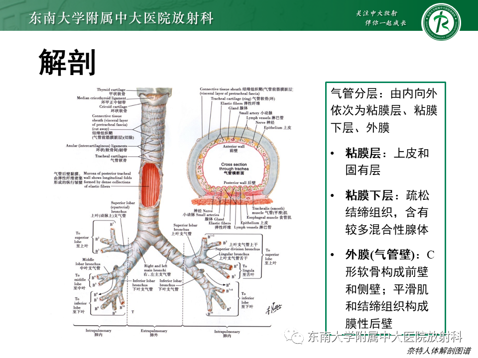 84615f25c6197afbccc7000cb1ee81c7.png