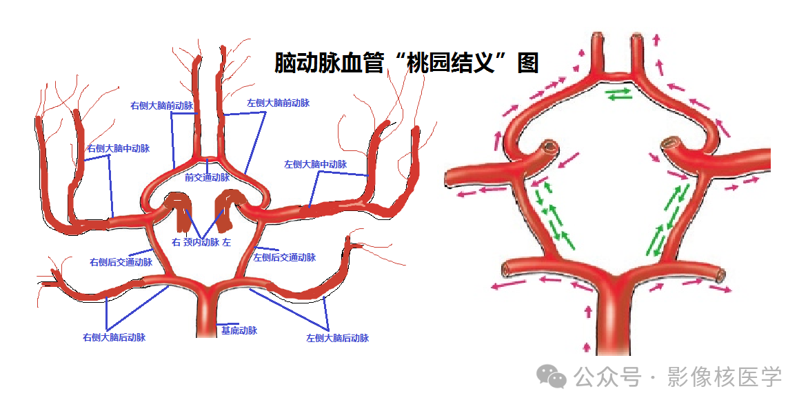 d3454338cb9d68813e101a304f9522bf.png