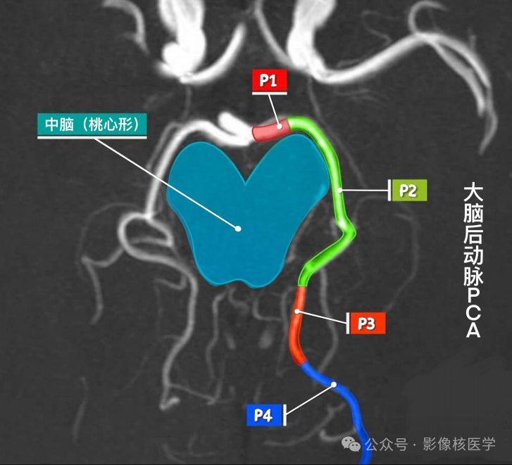 ab092ed4352804b9e5d0ee449ab23155.png