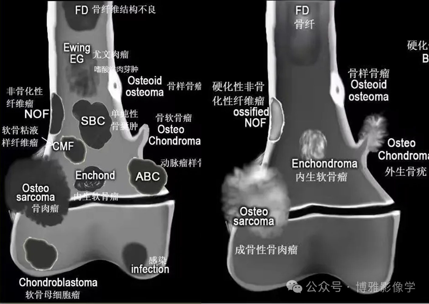 cb9a0dc3efef710a8c44691e4708fdc1.png