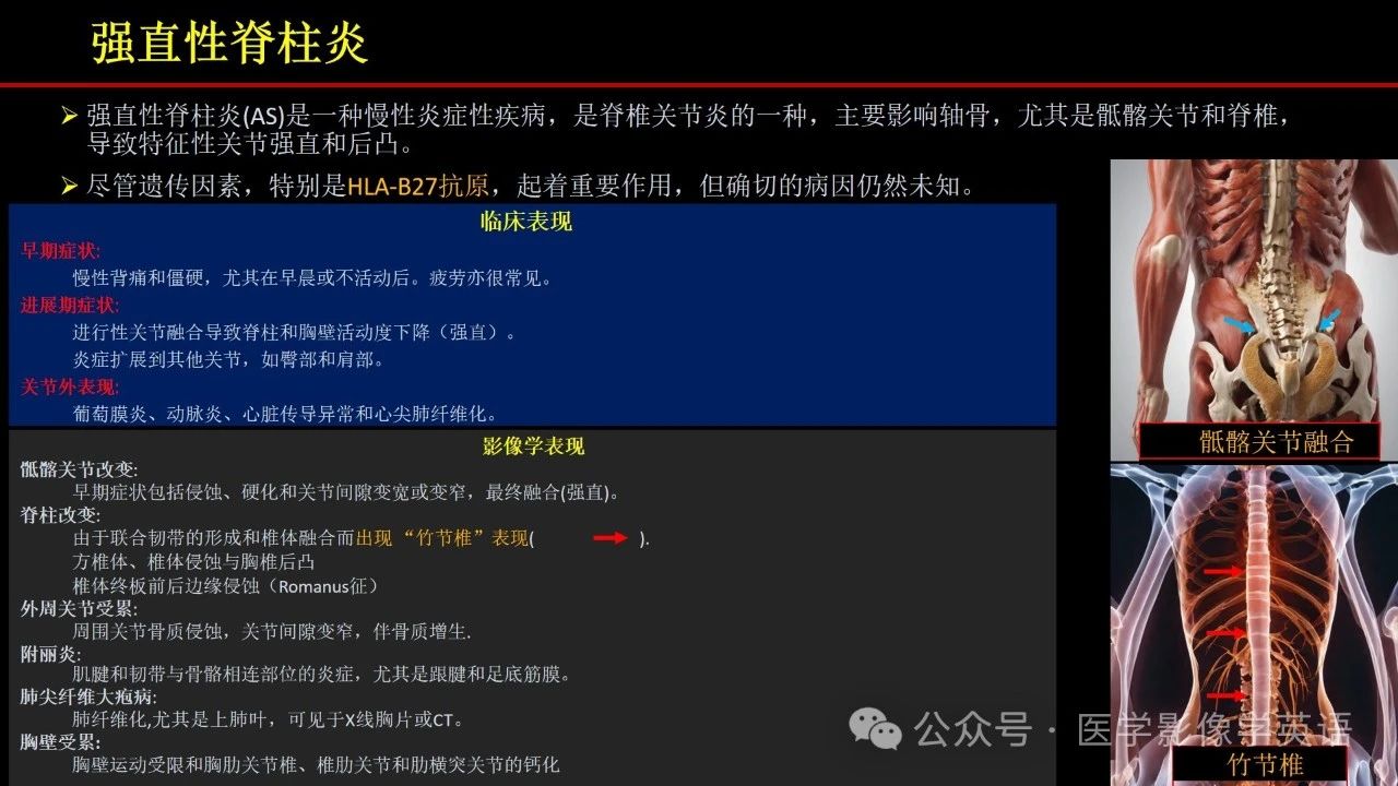 c1ed35d855c1af6a3908fd97372a269f.jpg