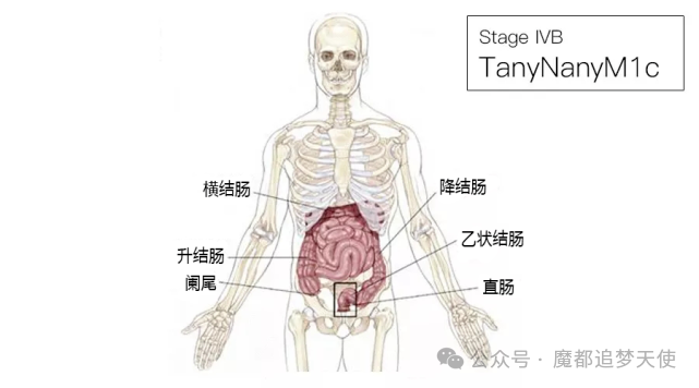 56c9edf89a9da519c42710b70bd09737.png