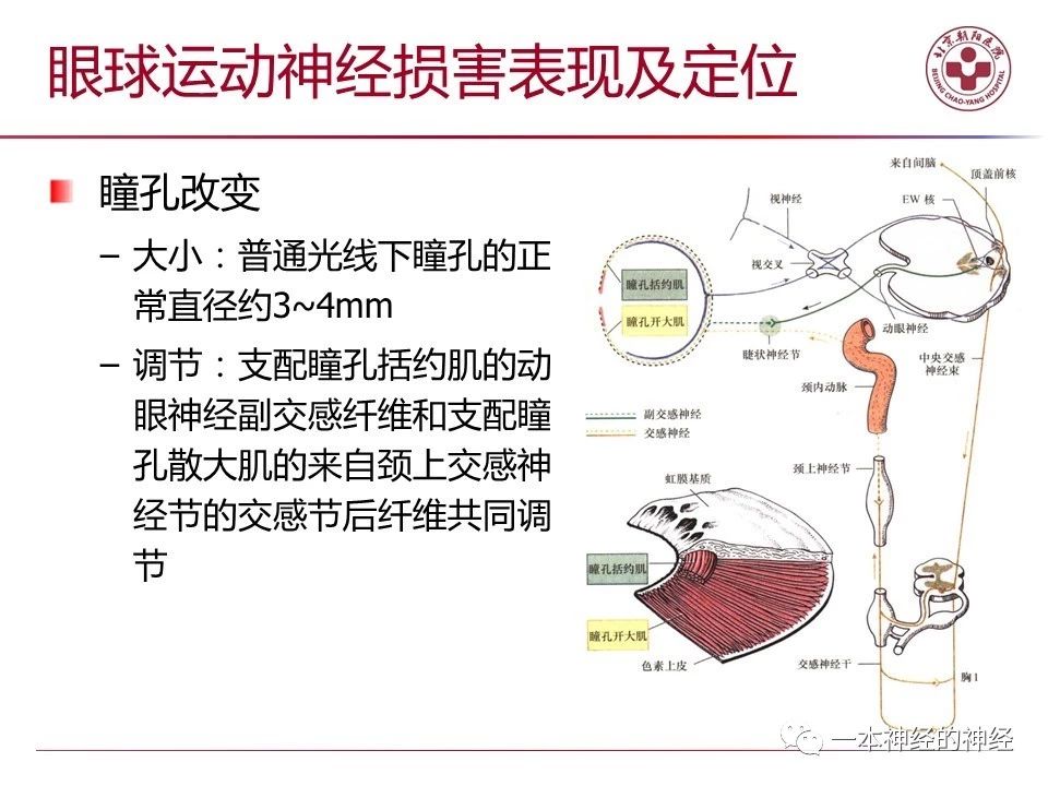 aeecb1013eee52b2b6a5a75d3606af69.jpg
