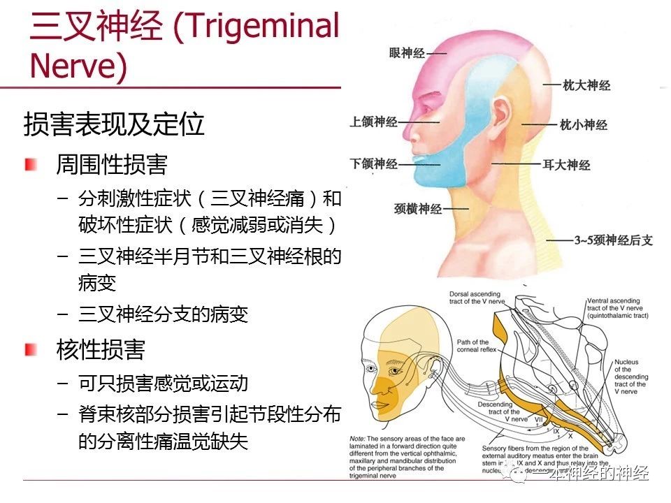 c89e34bc85da7916e1f3794000a46c15.jpg