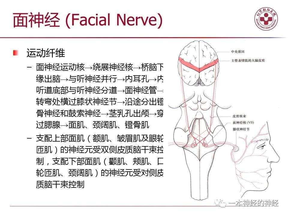 4a2d5d43ab8ffdf833316d75a621856f.jpg