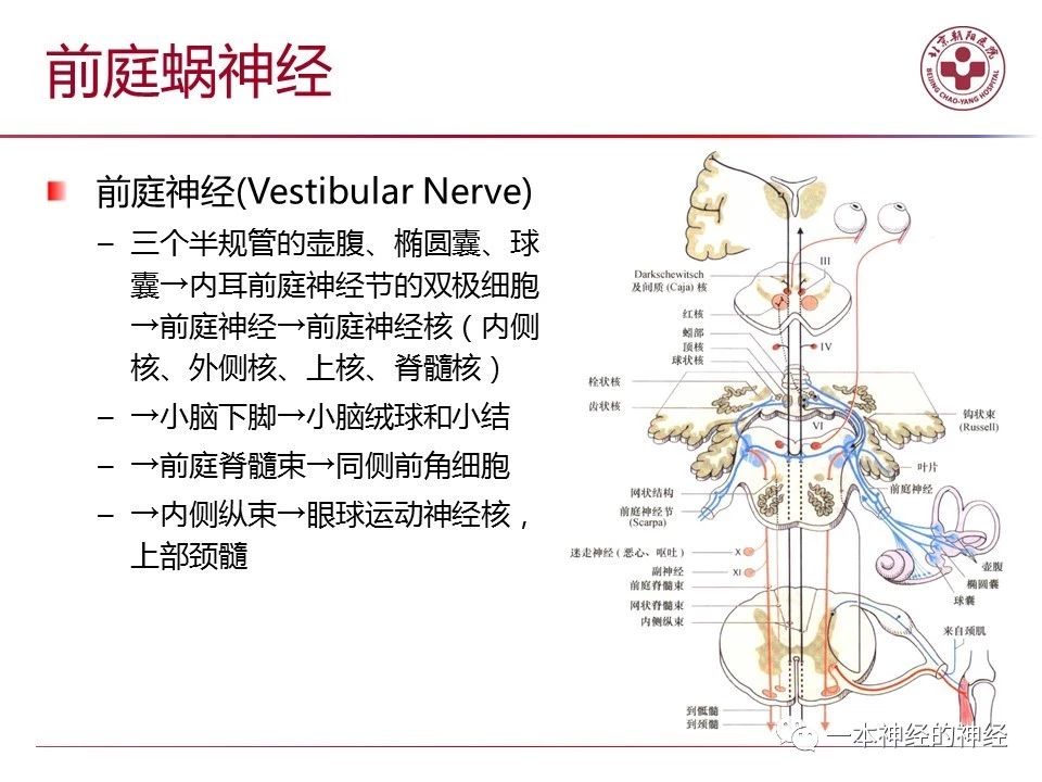 cdd73218198ef387e94e92721d5b673d.jpg