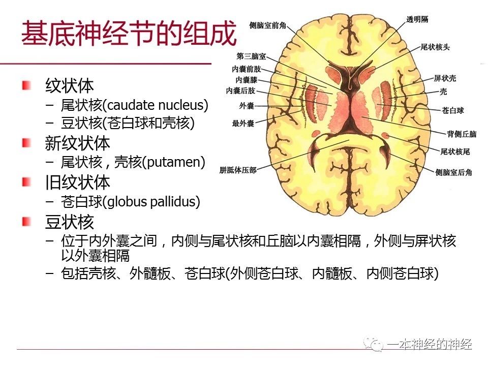 b91e0eca4b691813b9d4d89ac0840b32.jpg