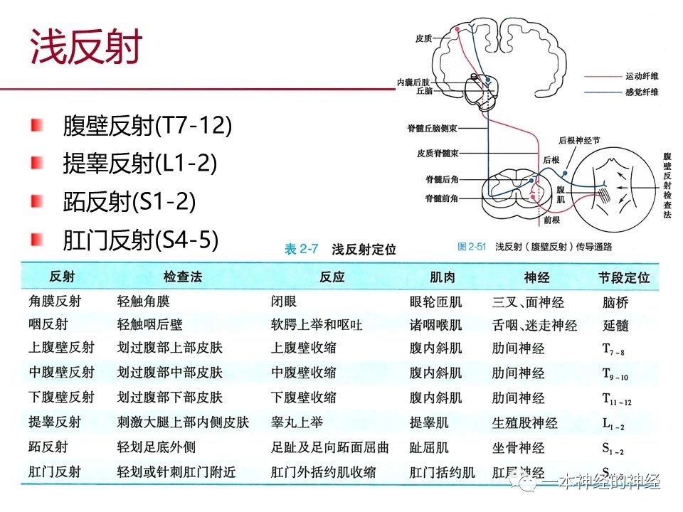 c5e495de88a00f67a09dffd1216ee183.jpg