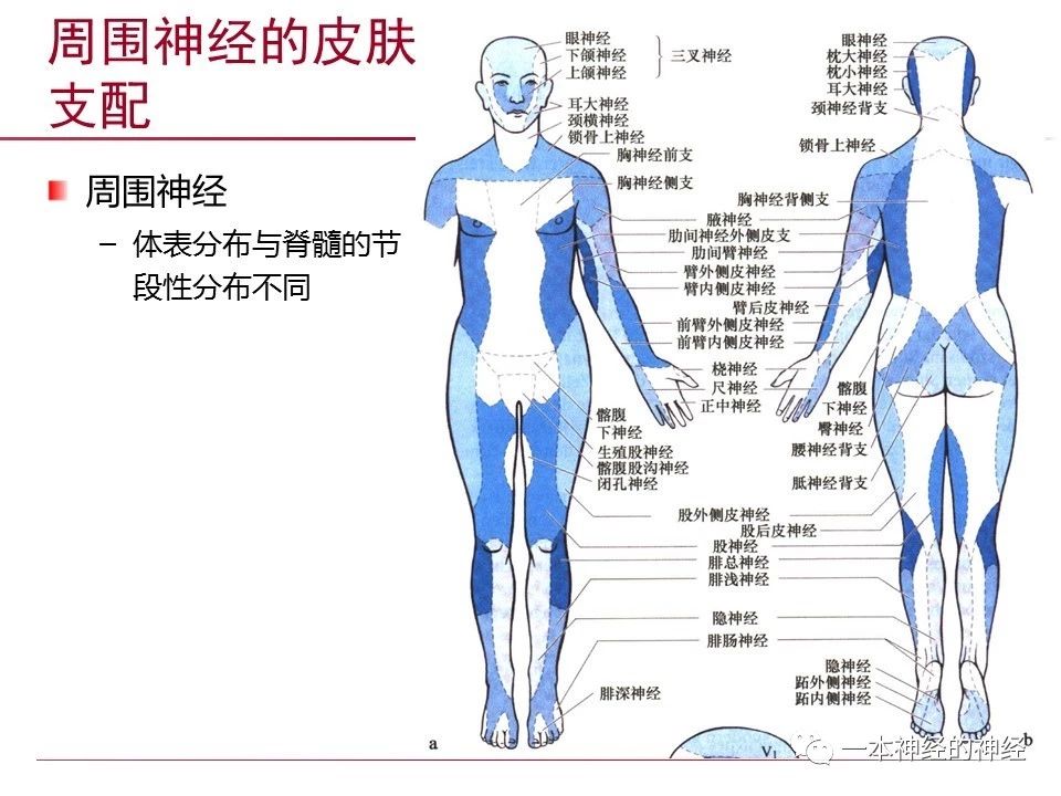 abb55b484c1e1ed078a678c79ed15224.jpg