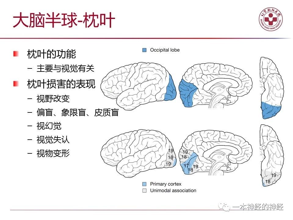 1b846d27da7da195231b901faf22a47e.jpg