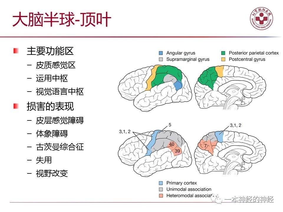 7c5f0193c252a9cbafd49a2b6ff369f5.jpg