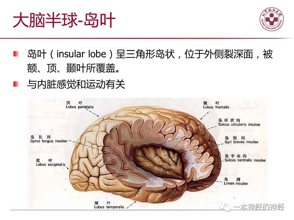 d7886da946a5494e010af9c529dfbb34.jpg