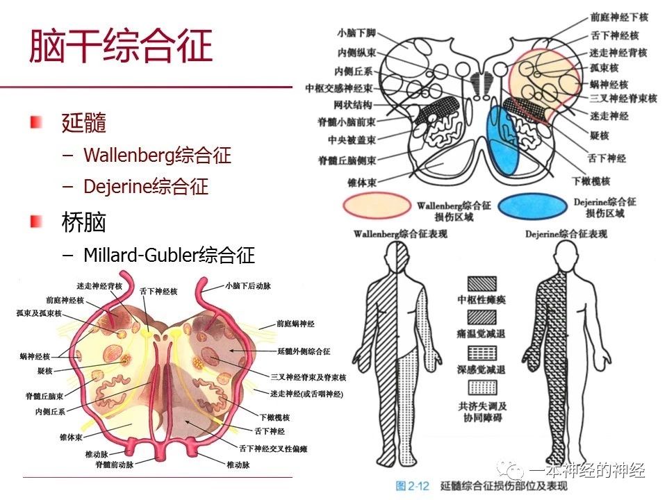 24e4031fbfd51e4de265a496175bb59a.jpg