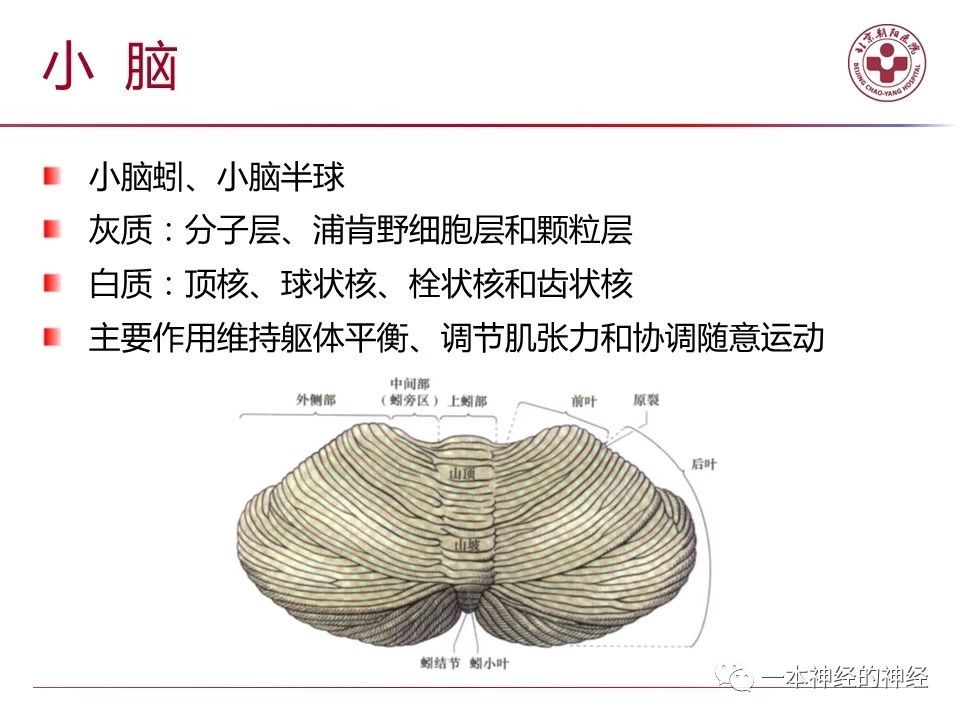 6cf7aa958693dac63daf6ee4015b7685.jpg