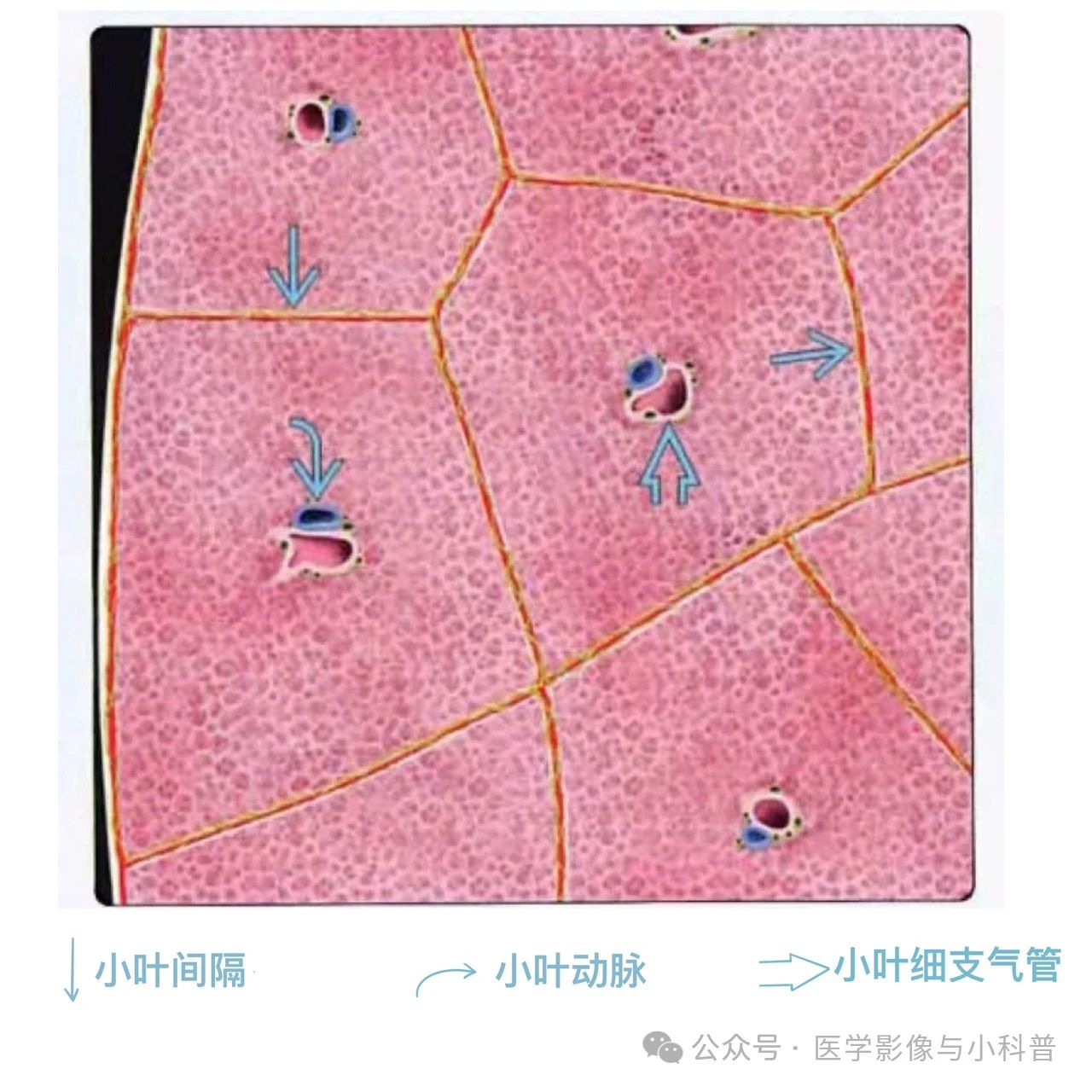 0cf8d73f05aa6d3817c283a46ad6a8db.jpg