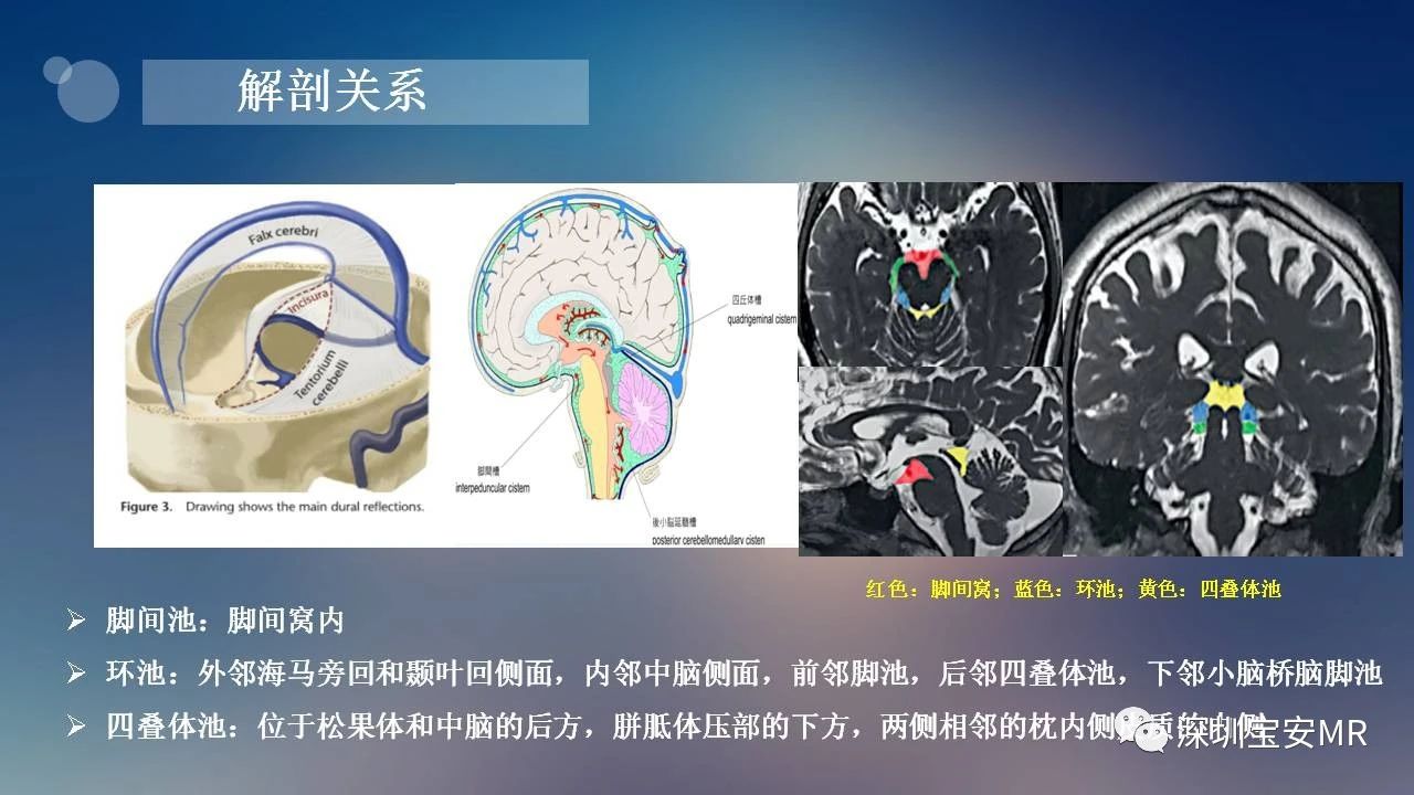 bce7e45349ca8863b5a3167689c98ae6.jpg