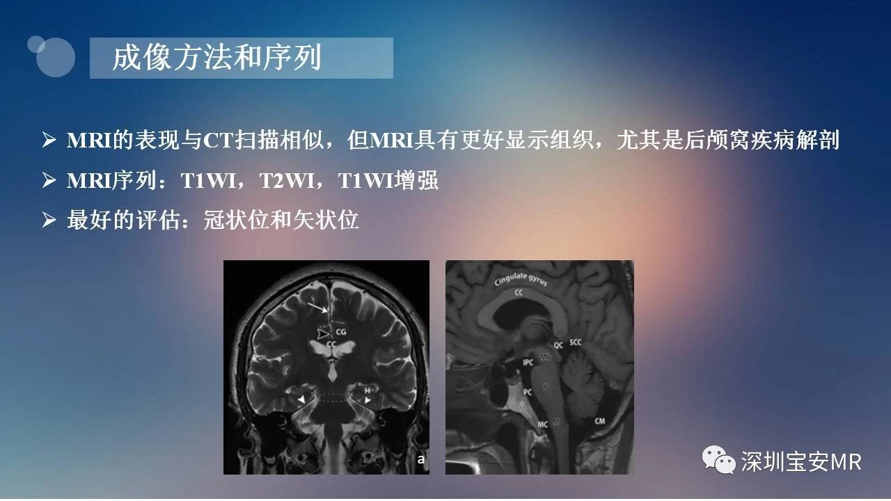 83e238894aa31709e93b3091fd7c3b01.jpg