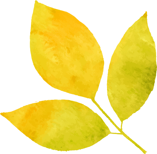 721e3dd18c39b1b5293a50c67db4da4f.png