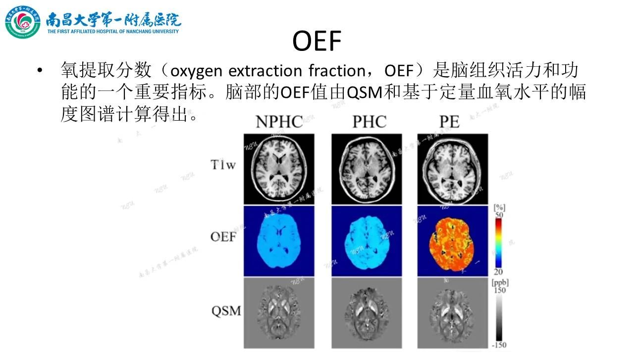 d2f925e63c286336995f9614717fcb8f.jpg
