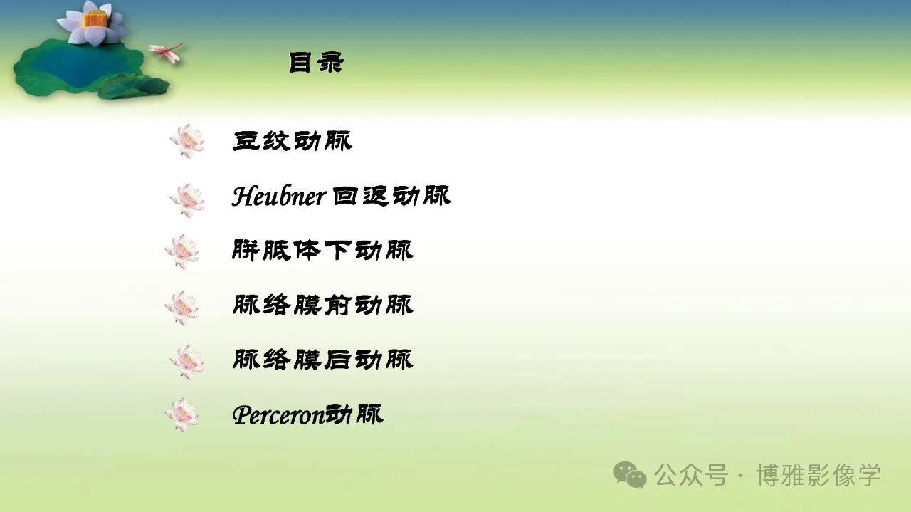 526f50b0e966e8d9d6ab3099e4eb9826.jpg