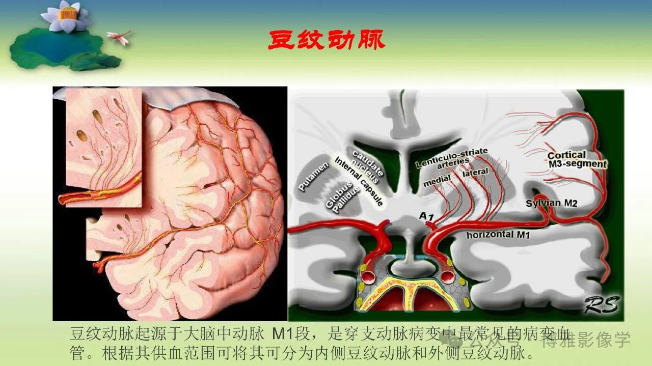 cfae5a2e8084ae712acd34a51f6fd886.jpg