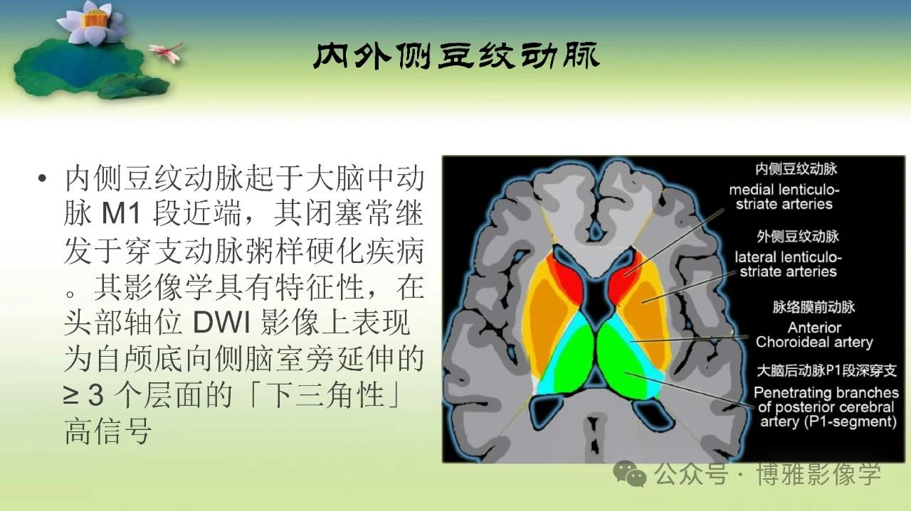7ec3a950f24898be34be2bf88c945867.jpg