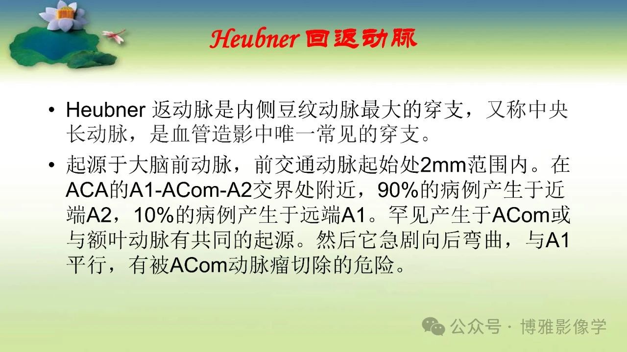 4437eb4acf78108aa9cdf27a922b2e3b.jpg