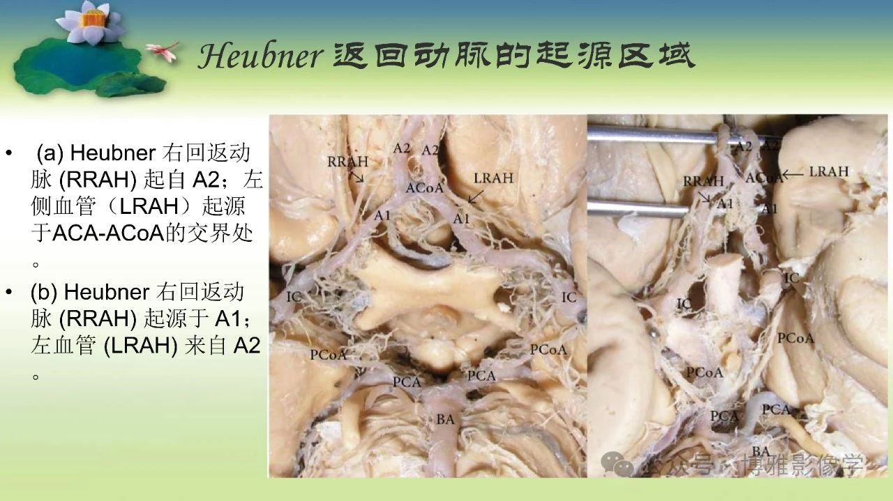9cccdfad76dced40c82058ac086ac3cb.jpg