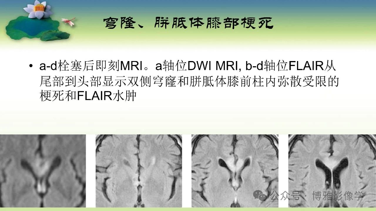 1bf2d5ae7fae1ce76fc3b1f7d9735f34.jpg