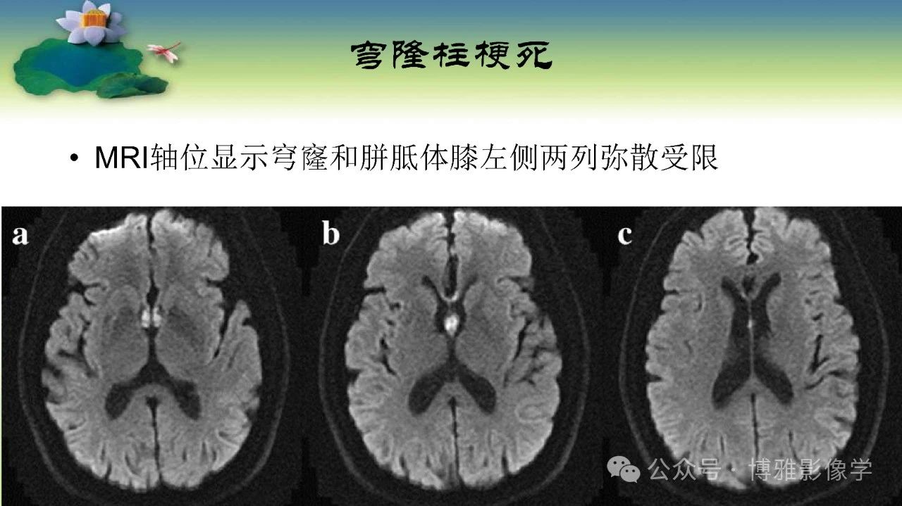 d566be5a3bfb731ee624b2cb04cc98e5.jpg