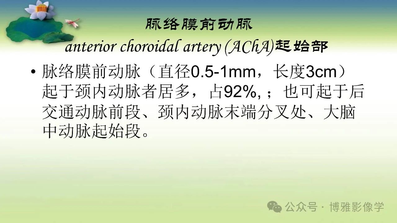 5a79151b3cd118359ae5197536e0af15.jpg