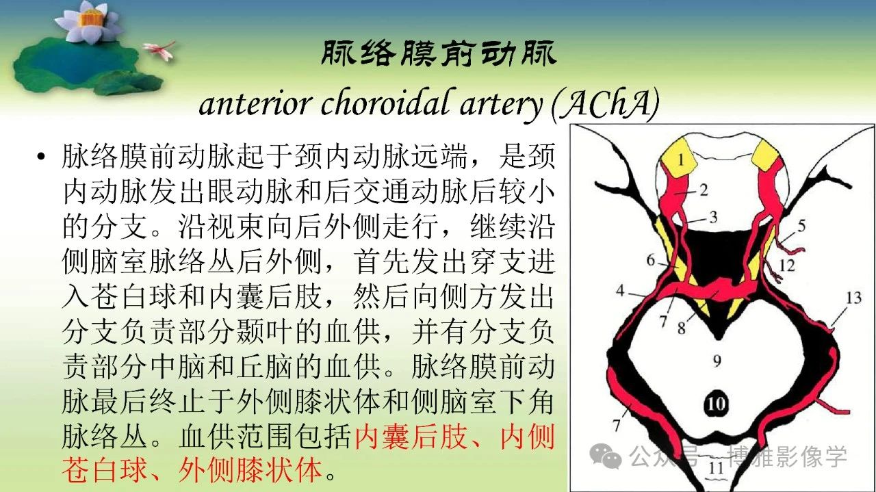 6d580a162c54fea7d490fb7cb4e32e3e.jpg