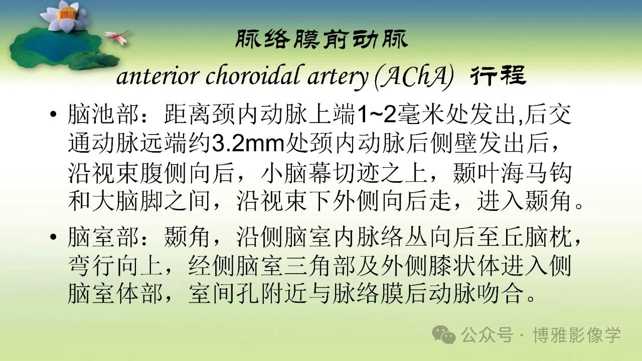 f87e7e20622adc2a60f489bee4d87a83.jpg