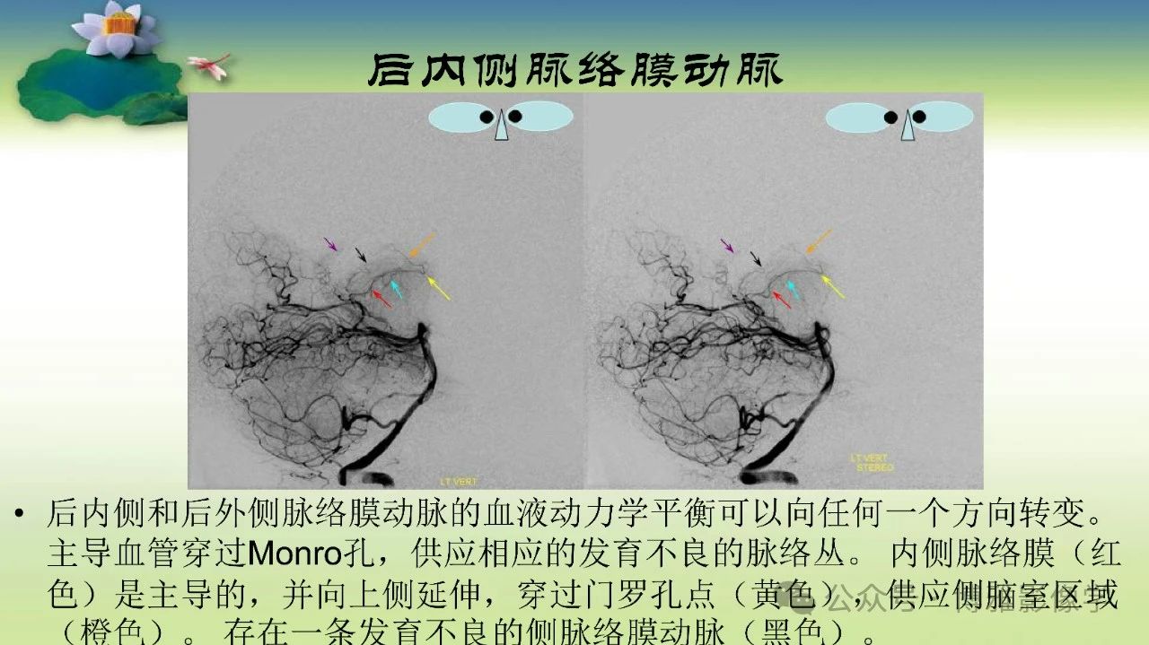 e40c4f8870de031cd46c79555c7c6600.jpg