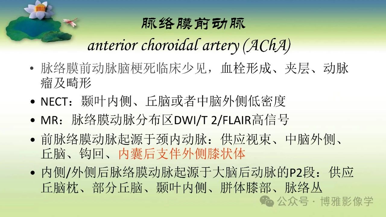 041b24b30117da7cf49673edcb5ebaca.jpg