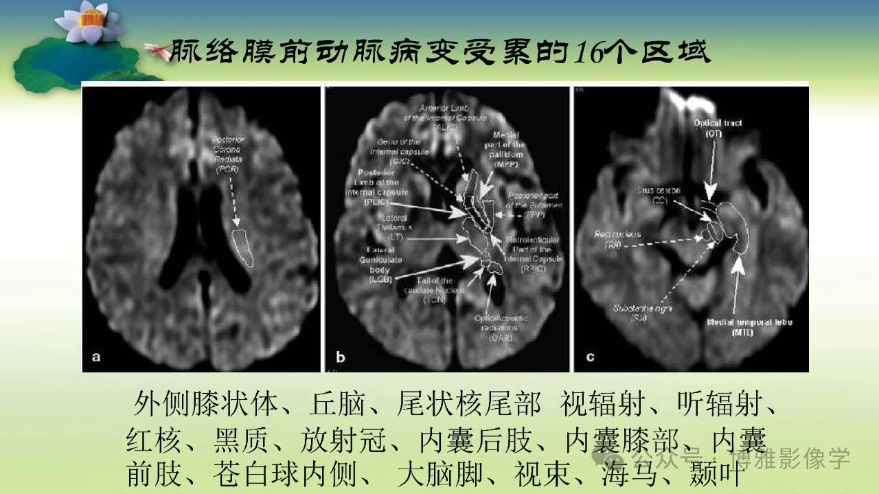 fbfb9e65383273a819004bf6d77dcb53.jpg