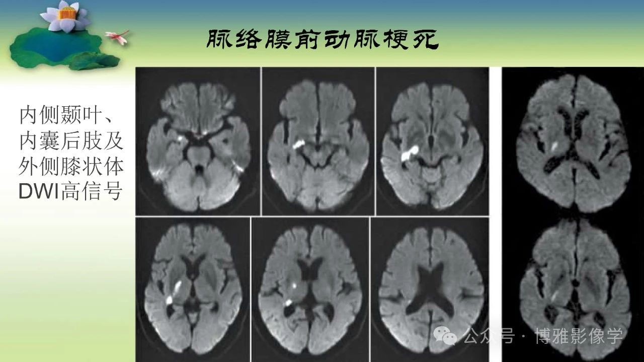 7713840dfd5ea2d0a3d5273b66761c36.jpg