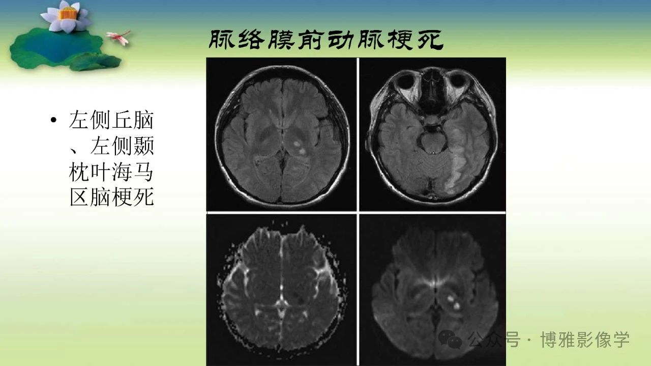 e3450ad798140f63992f3568d1d8bdeb.jpg